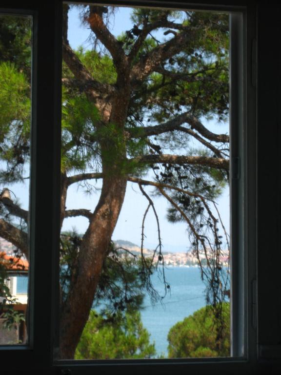 Mavi Pension Hotel ไอวาลิค ภายนอก รูปภาพ
